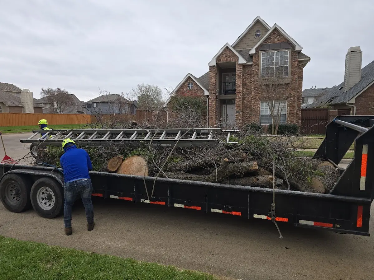 Expert Tree Removal with proper safety equipment in Atmore